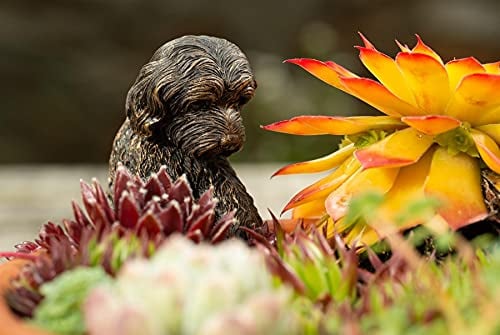 Pot Buddies Handmade Cockapoo Figure Plant Pot Hanger - Decorative Hanging Garden Ornament - Flower Planter Figurine