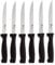 Pradel Excellence - Set de 6 Couteaux à Steak - Lames microdentées de 11 cm en Acier Inoxydable 2CR14 - Manches en polypropylène - Ensemble Coutellerie Compatible Lave-Vaisselle