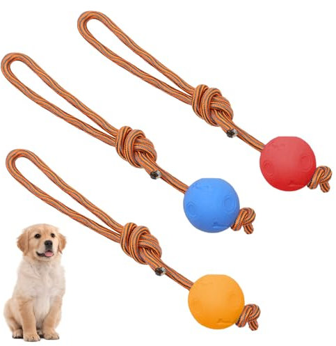 lyualma 3 Stück Hundespielzeug Ball mit Seil Naturkautschuk Hundebälle mit Seil Klein Vollgummiball Wurfball Hund für Hund Spielspaß und Zahnpflege (Rot Blau Orange)