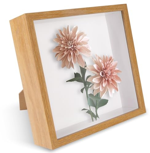 FALSKT Cadre 3D Profond 22x22cm Cadre Profond pour Objet Jusqu'à 6cm