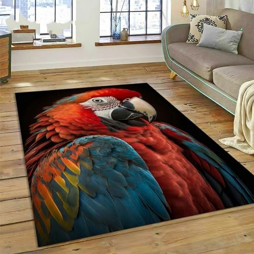 3D Teppich Kinder Jungen Groß Kinderzimmer Gaming Teppich Schlafzimmer Dekoration Wohnzimmer Kurzflor Krabbelmatte Modern Weich Kinderteppiche Er Vögel Papagei 60 X 90 cm -51794921433