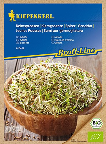 Bio Keimsprossen verschiedene Sorten Alfalfa Radies Brokkoli Weizen Rauke Linsen Zwiebel (Alfalfa)
