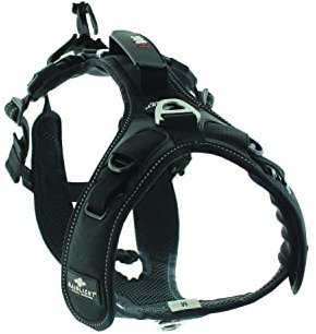 RaidLight I-Dog CANITRAIL HARNAIS, Herren, 200 Schwarz, S