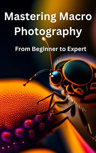 Mastering Macro Photography: From Beginner to Expert