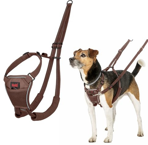 Halti Anti-Zug Hundegeschirr | Größe XS, Walnussbraun | Verhindert, dass Ihr Hund an der Leine zieht, Einstellbar, Gepolsterter Brust- und Beingurt, Reflektierendes Gurtmaterial