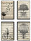 Nacnic Set 4 Posters avec partitions de Musique. Pissenlit, Arbre de Vie, Vélo, Ballon pour Murale de Style Vintage. Affiches conçues pour Votre Maison, Magasin, Bureau. A4 sans Cadre.