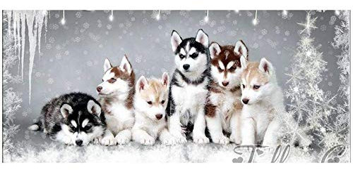 5D Diamant Stickerei Set Bohren Voll Große Größe Husky Winter Hundetier DIY Diamant Malerei Diamant Painting Kreuzstich Stickerei Diamantbild für Zuhause Wand Basteln Deko Platz Bohrer 50x100cm H141