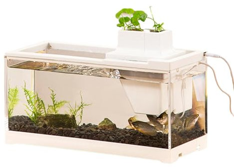 Petit Aquarium Complet, Aquarium De Bureau, Kits d'Aquarium De Gallons, Aquarium De Bureau, Aquarium Lumineux Étanche à Grande Ouverture pour Tables, Bureaux, Salon