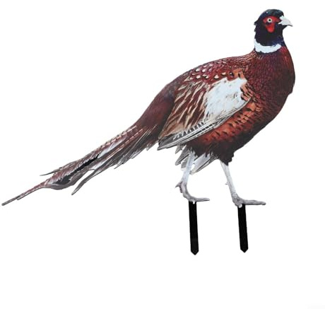 Acryl Gartenstecker 2 naturgetreue Fasane für Deko im Freien (A)