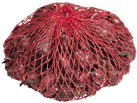 Steckzwiebeln in verschieden Sorten - Allium cepa (Steckzwiebeln Red Karmen)