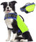 Pawaboo Schwimmweste Hund, Einstellbare Hundeschwimmweste mit Starkem Auftrieb und Langlebigem Rettungsgriff Reflektierend Rettungswesten, L, Helles Gelb
