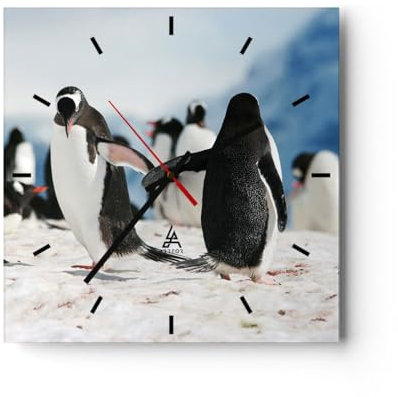 Modern Wanduhr Pinguine Winter Natur Schnee 30x30cm Quadrat Klein Wand Uhr Glas Analog Zimmeruhren Küche Büro Wohnzimmer Glasuhr Wall Clock Dekoration Design Wanddekoration Küchenuhr C3AC30x30-2974