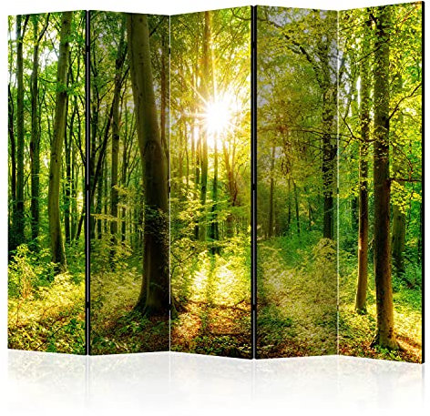 murando - Paravent intérieur unilatéral 225x172 cm - Séparateur de pièce en Bois Naturel avec Toile imprimée d'un côté, pour Chambre à Coucher - des Arbres forêt Paysage Plantes b-B-0383-z-c