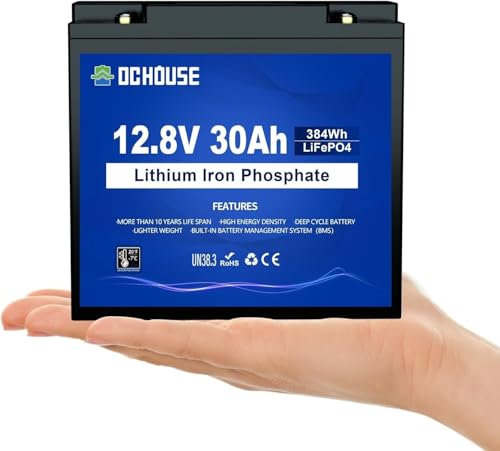 DCHOUSE Batterie Mini LiFePO4 12V 30Ah, groupe BCI U1 avec BMS 30A, coupure basse température, plus de 4000 cycles profonds. Idéale pour les détecteurs de poissons, les moteurs de pêche à la traîne