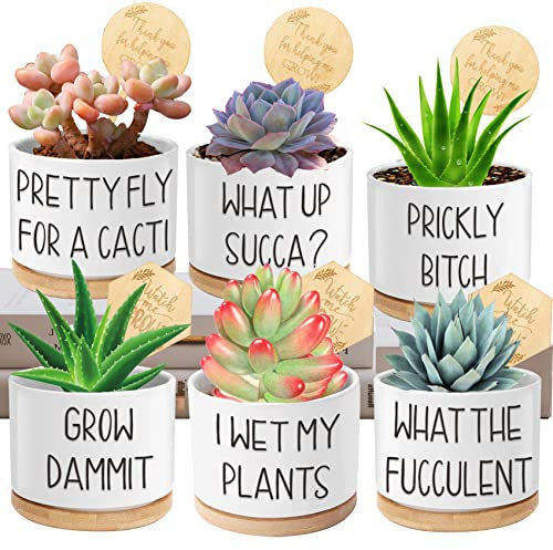Succulent Pots 6 Pack, 3.15” Ceramic Funny Succulent Planters with Drainage and Bamboo Tray, Small Plant Pots with Plant Labels for Indoor Outdoor Plant, Birthday Gifts for Women - Plants Not Included
