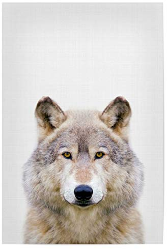 artboxONE Poster 30x20 cm Tiere Wolf (Color) hochwertiger Design Kunstdruck - Bild Wolf Portrait Wolf