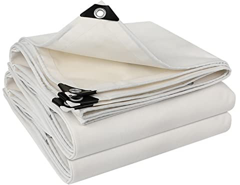 YWBXSHKD Lona De Protección Impermeable 3x8m, Lonas Impermeables Exterior, Lona De PVC por Metros, Toldo A Prueba De Polvo para Patio Exterior Durable y fácil de Plegar