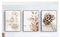 UEHVVF Qualität Poster 3 Stück Set, Modernes Wandposter Stilvolle Pfingstrose Blume Wandkunst Natürliches Pampasgras Bild Rahmenlose Kunst Poster Heimdekoration (fig. reaktionär, 30 x 40 cm)
