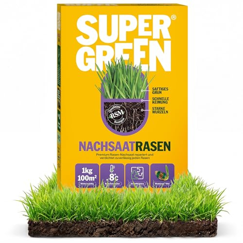 SUPERGREEN Nachsaatrasen Rasensamen | 1 kg für 100m² | Premium Nachsaat für dichten, sattgrünen Rasen | Schließt Lücken schnell & regeneriert Flächen | RSM Qualität & Mantelsaat® Vital