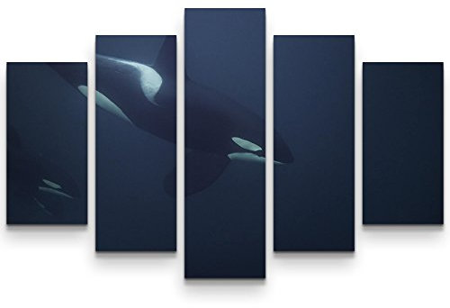 Eau Zone Wandbild auf Leinwand 160x100cm Orca im Fjord