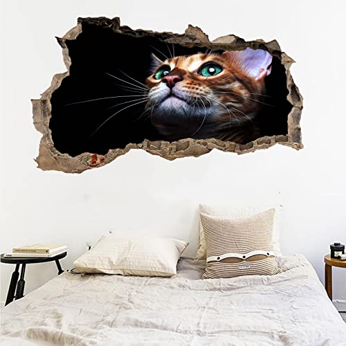 Kuletkear Tiere 3D Wandtattoos Wandaufkleber Katze B 75 x H 45 cm für Kinderzimmer Junge mädchen Teenager zimmer Schlafzimmer Wandsticker