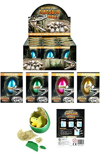 HENBRANDT Dinosaur Growing Egg 7cm x 5cm
