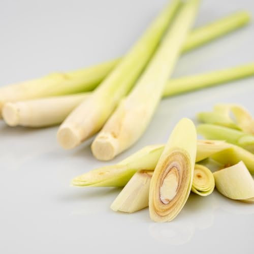 200 pcs zitronengras samen mehrjährig - Cymbopogon citratus - gartengeschenke, pflanzen samen zitronengras pflanze kaufen kräuterpflanzen, gartenpflanzen heilkräuter samen, balkon