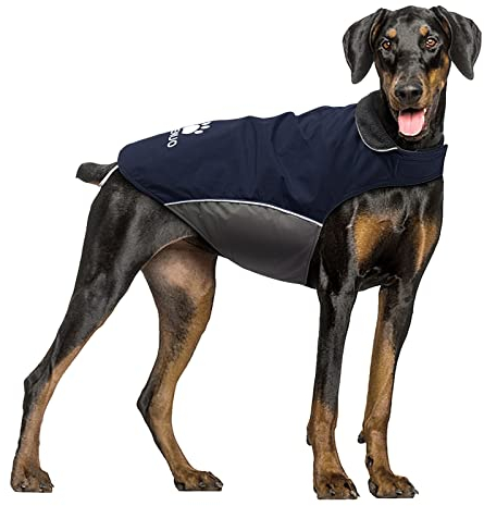 IREENUO Wasserdichter Hundemantel, Hundejacke Winter Winddichter Warmer Hunderegenmantel für Mittelgroße bis Große Hunde mit Sicheren Reflexstreifen und Verstellbarem Brustriemen (M, Blue)