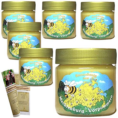 Honige ImkerHaus Varianten (Rapshonig 6 x 500g)