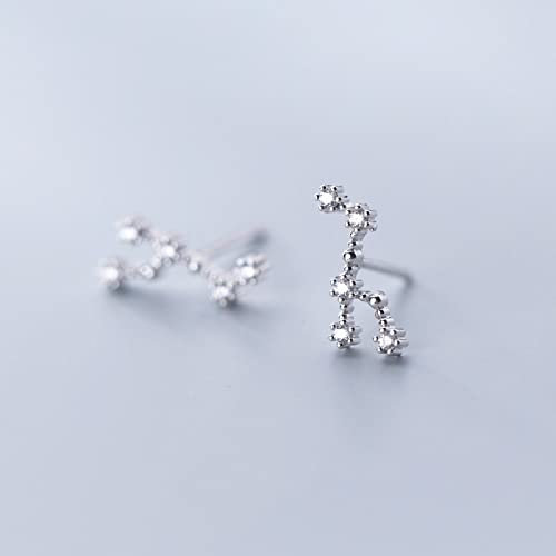 GLDW Ohrringe Damen, Zwölf Konstellationen Leo Eingelegt Zirkonia S925 Sterling Silber Hypoallergen Ohrstecker Exquisiter Schmuck Für Frauen Dame Mädchen Valentinstag Frauentag Geschenke