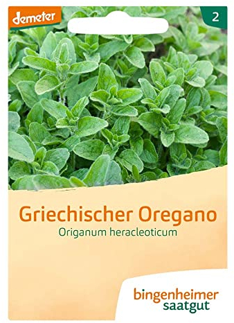 Bingenheimer Saatgut Griechischer Oregano, Origanum heracleoticum