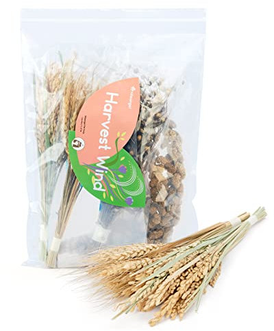 Niteangel® Natural & Soft Hamster Bedding Mate Small Animal Habitat Decor for Syrian Dwarf Hamsters Gerbils Mice Degus Bunny or Other Small-Sized Pet (Harvest Version)