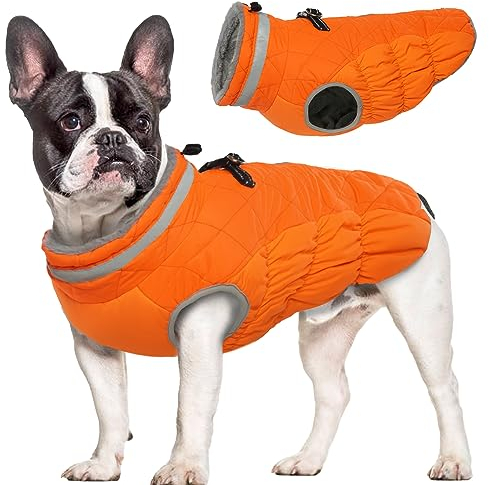 Hjumarayan Hundemantel für Kleine Mittelgroße Grosse Hunde, Hundejacke Warme Hundeweste Wintermantel Hund Wasserdicht Hunde Mantel Gefüttert, Hundemantel Französische Bulldogge (Orange L)