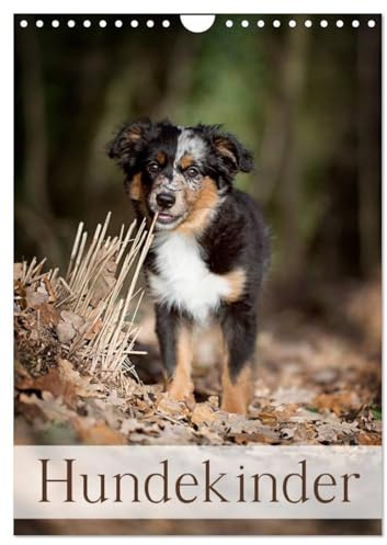 Hundekinder (Wandkalender 2026 DIN A4 hoch), CALVENDO Monatskalender (CALVENDO Tiere)
