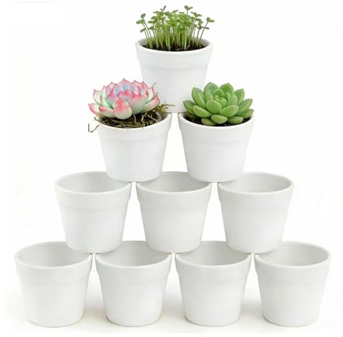 HongChelle 10 piccoli vasi da fiori bianchi, in plastica infrangibile, ideali per cactus, piante grasse, fiori, erbe (diametro 7 cm x altezza 6 cm)