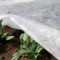 TENAX Ortoclima Plus 1,00x10 m Bianco, Velo Protettivo Antigelo Invernale per Piante, in TNT Tessuto non 30 g/m, Protegge Fiori e Ortaggi da Freddo, Gelo Vento