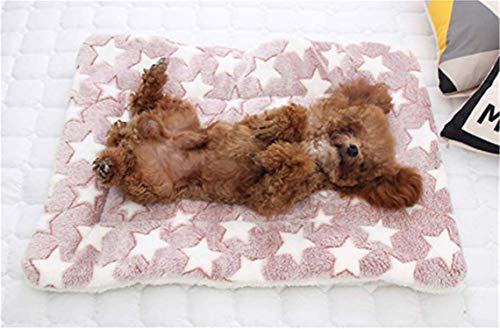 Dreamskull Hundematte Hundekissen Hundedecke Katzendecke Katzenmatte Hundebett Matte Decke Bett Hund Kleine Große Hunde Katzen Haustiere Flauschig und Weich Waschbar Plüsch Kuschelig (71*54cm, Rosa)