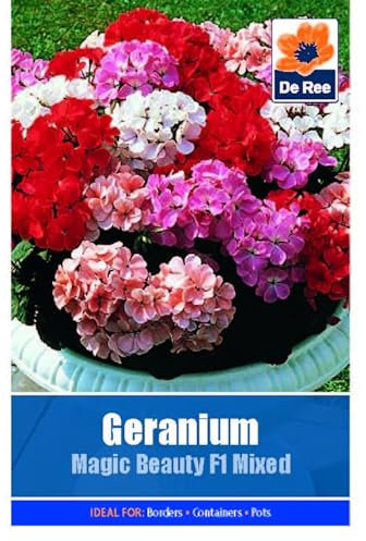 Geranium Magic Beauty F1 Mixed - 6 Seeds Flower Plant Bedding Borders Containers Pots Grow Your Own Garden Plant Seed