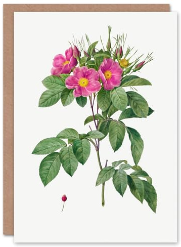 Artery8 Pierre-Joseph Redouté Art Card Vintage Carolina Rose Illustration