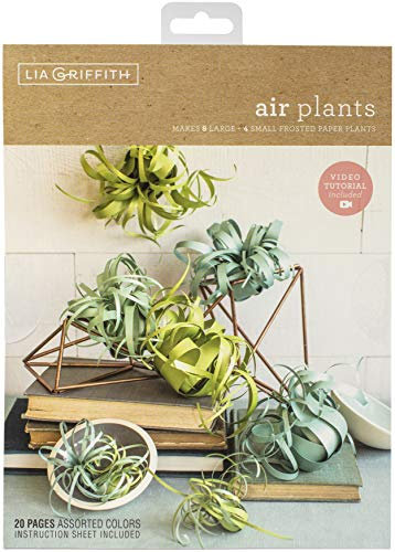 Lia Griffith Paper Stack 8.5X11 24/Pkg-Airplants