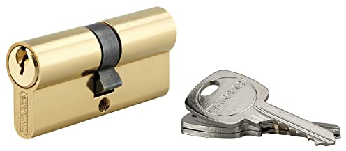 Cylindre de Serrure Profilé STD 35x35mm - Système de Sécurité Double Entrée Laiton - Usage Porte d'Entrée - Fabriqué en France - Livré avec 3 Clés Crantées - THIRARD