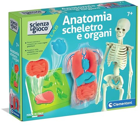 Clementoni Science & Jeu Lab – Anatomie Squelette et Organes, Jeu Scientifique pour Enfants 7 Ans pour découvrir Le Corps Humain, fabriqué en Italie, Langue Italienne, 19414