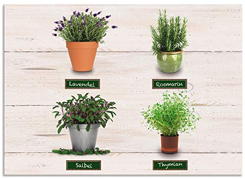 ARTland Spritzschutz Küchenrückwand aus Alu für Küche Herd Spüle 70x50 cm (BxH) mit Motiv Kräuter Pflanzen Lavendel Salbei Thymian Rosmarin Holzoptik K2LP