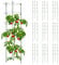Relaxdays Pack 10 Tutores Plantas, 90 cm Alto, Soporte Enredaderas 4 Anillos, Guía Trepadoras, Metal y Plástico, Verde, Acero