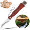 BUKCYUE Coltello per Funghi, Coltello Pieghevole per Esterni con Manico, Coltello da Fungo, Coltello Funghi Inox, Coltello a Funghi Con Spazzola, Con Righello e Portachiavi, Per Raccoglitori Di Funghi