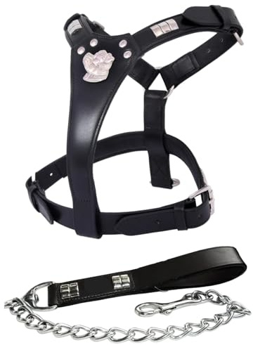 Staffordshire Bullterrier Hundegeschirr und Leine, Leder, strapazierfähig, Schwarz / Chrom, 2-teiliges Set