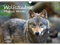 Wolfszauber DIN A3 Kalender - Immerwährender Kalender Wolf und Wölfe - Seelenzauber