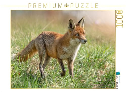 CALVENDO Puzzle EIN Motiv aus dem Kalender Füchse - Zauberhafte Seelen | 1000 Teile Lege-Größe 64 x 48 cm Foto-Puzzle für glückliche Stunden