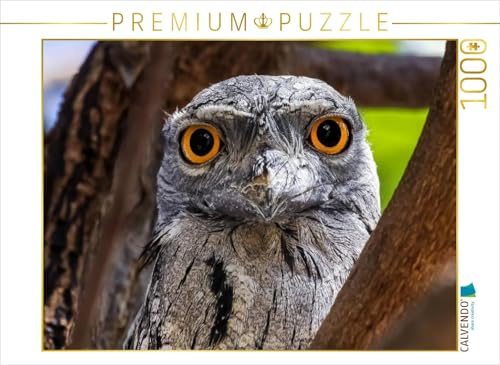 CALVENDO Puzzle Eulenschwalm (Podargus strigoides) | 1000 Teile Lege-Größe 64 x 48 cm Foto-Puzzle für glückliche Stunden