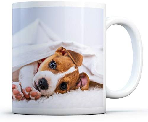 Cute Jack Russell Puppy - Drinks Mug Cup Kitchen Birthday Office Fun #8286